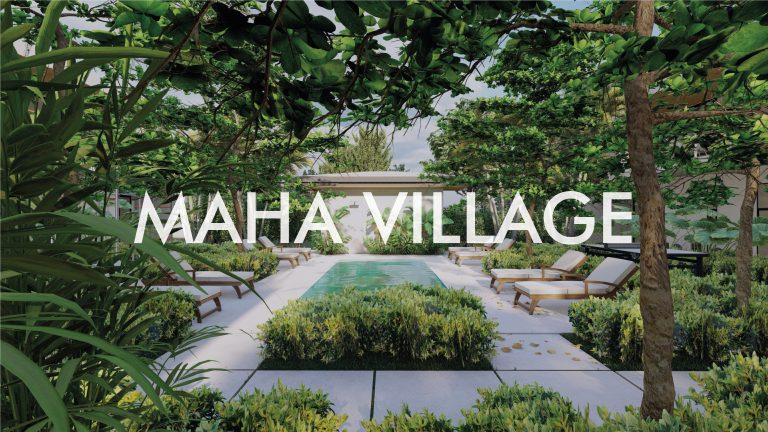 Read more about the article MAHA VILLAGE